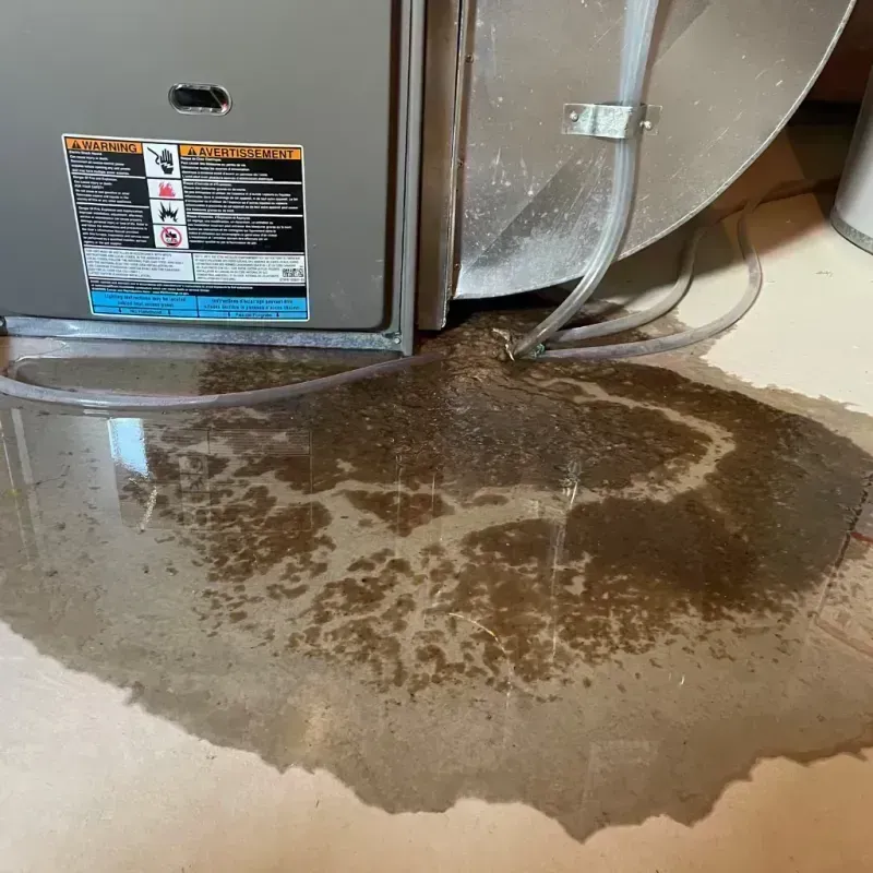 Appliance Leak Cleanup in Manitou Beach-Devils Lake, MI